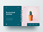 Cactus web design web 设计 design