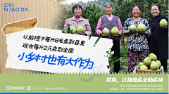 小蒜＋＋采集到海报