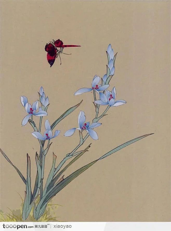 工笔画—兰花-花瓣网