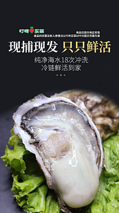 小金要努力采集到海鲜高清集合版