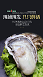 生蚝
