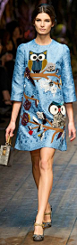 Dolce & Gabbana Fall 2014 / Winter 2015 RTW, Milan Fashion Week, Italy---  OWLS....AHHH...need this now.