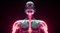 after effects,bones,c4d,cinema 4d,Endo Skeleton,inside,skeleton,skull,xray