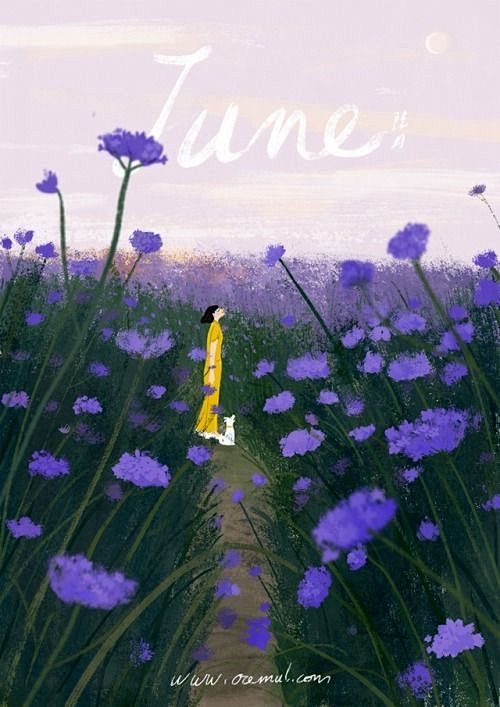 卤猫 (June)