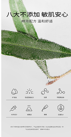 安徒生0采集到花 植物