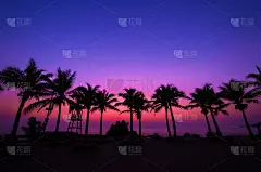 椰子树的剪影，暮色中的海滩