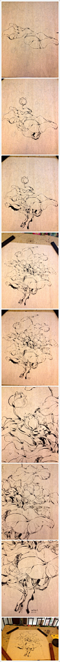 荷花绘画过程-小枣子_小枣子，手绘，黑白，线稿，插画_涂鸦王国