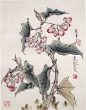 王道中花鸟工笔画欣赏，花鸟工笔画高清大图 - 高光网