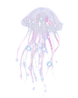 星星水母1—可商用高清无水印底素