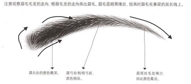 绘画漫画角色基础教学，五官的画法眉毛眼睛...