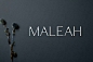 优雅现代无衬线英文LOGO海报网站名片设计项目字体素材 Maleah Sans Serif 2 Font Family Pack