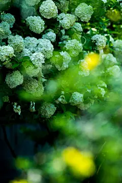 非与非的相片册子
【手机壁纸】六月，自选吧。「摄于南京」