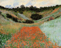 《旋转的小巷》采集到Monet
