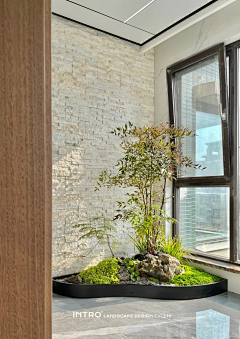 Eckes-bear采集到绿植造型组合