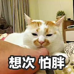 油牌表情包@楼板娘 ​​​​