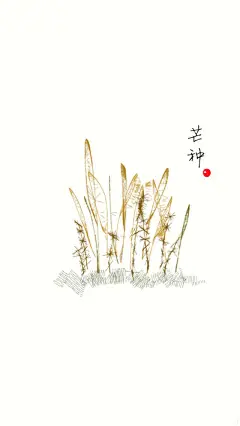 节气创意简约插画壁纸-高清手机壁纸背景图片大全-绿茶壁纸库