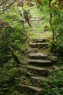 倒里采集到场景