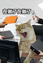 <表情包>‖组图｜上班不就是为了下班吗 - 小红书