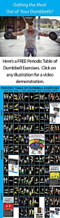 104 different dumbbell exercises organized by muscle group and difficulty. Click on any illustration for a video demonstration of the exercise.