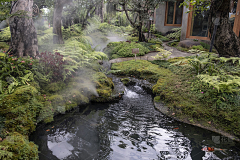 静静新采集到样板庭院