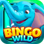 BingoWild