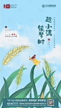 【源文件下载】 海报 房地产 二十四节气 小满 插画