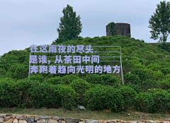 沙雕是你采集到物料