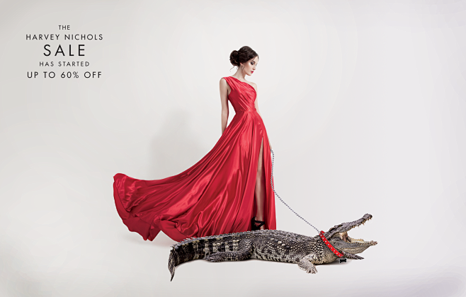 harvey-nichols-pet-o...