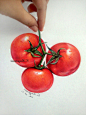 【溶萱手绘——彩铅蔬菜】Tomato(๑•ั็ω•็ั๑)今天，记得补充VC哦~#彩铅##手绘##插画##艺术##绘画#