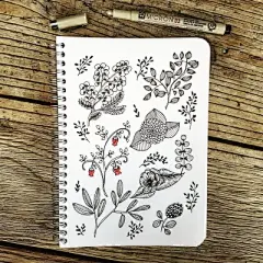 水彩---素材小画 - 高清图片，堆糖，美图壁纸兴趣社区