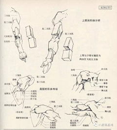 还没失眠采集到人体