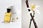 Louis Vuitton路易威登2016推出全新7款香水系列画册