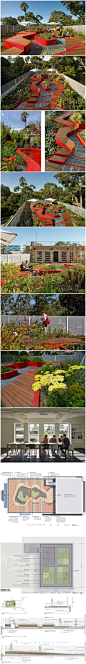 墨尔本大学屋顶花园景观 HASSELL|微刊 - 悦读喜欢