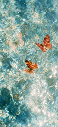蓝调蝴蝶壁纸