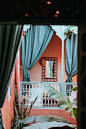 Swoon | 36 best free swoon, plant, outdoor, and flora photos on Unsplash