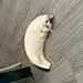 Pin page