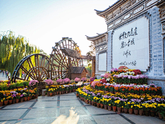 张杏sunshine采集到景
