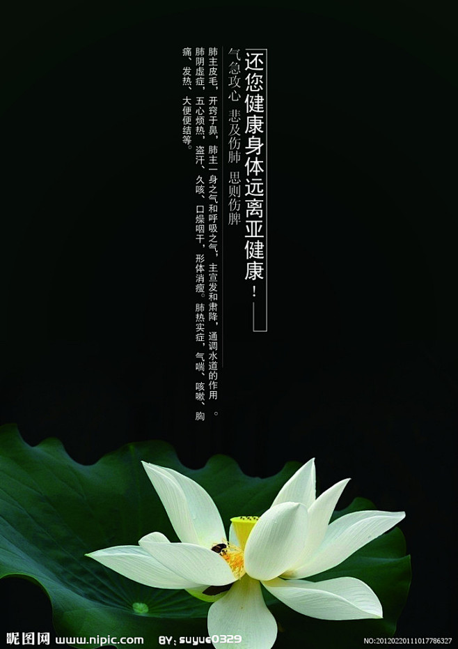 养生海报源文件