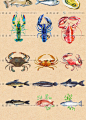 手绘水彩毛笔风海鲜海产海参螃蟹龙虾鱿鱼海蛎扇贝水墨包装素材6