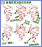 分享卷发以及辫子的画法分解参考，一起来画卷发吧~   #绘画学习#  #插画艺术作品#