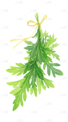 花瓣素材采集到水彩元素