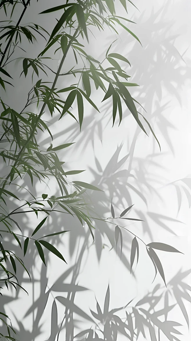 竹影-花瓣网