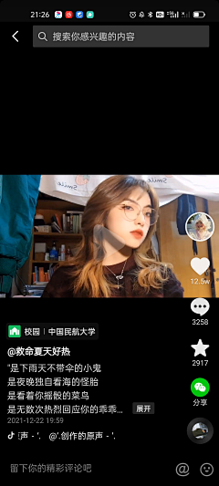 暹罗猫的唯一采集到灵感