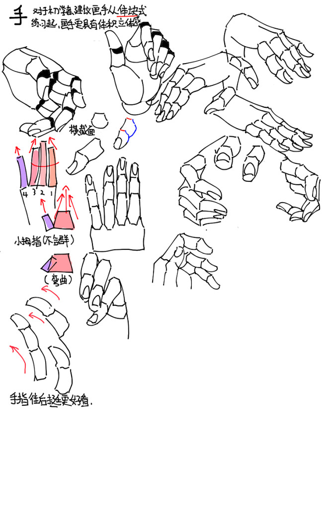 #描き方 躯干 - wumingxuan...