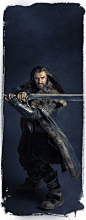 The Hobbit - Thorin Oakenshield by Gianfranco Gallo