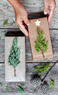 Beautiful & super easy DIY Christmas gift wrapping ideas, using upcycled brown paper & free natural materials to create festive designs that everyone loves!