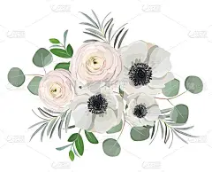 手绘花束与银莲花、毛茛、玫瑰、牡丹花、桉树枝叶。矢量插图贺卡或婚礼邀请设计
