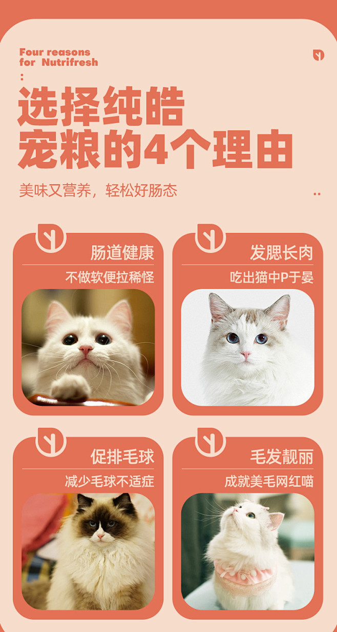 纯皓全价风冻猫粮幼猫粮猫幼猫成猫全阶段通...