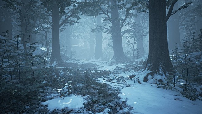 UE4 Winter Forest, W...