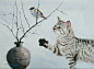 Chatchawarn Ruksa·猫
